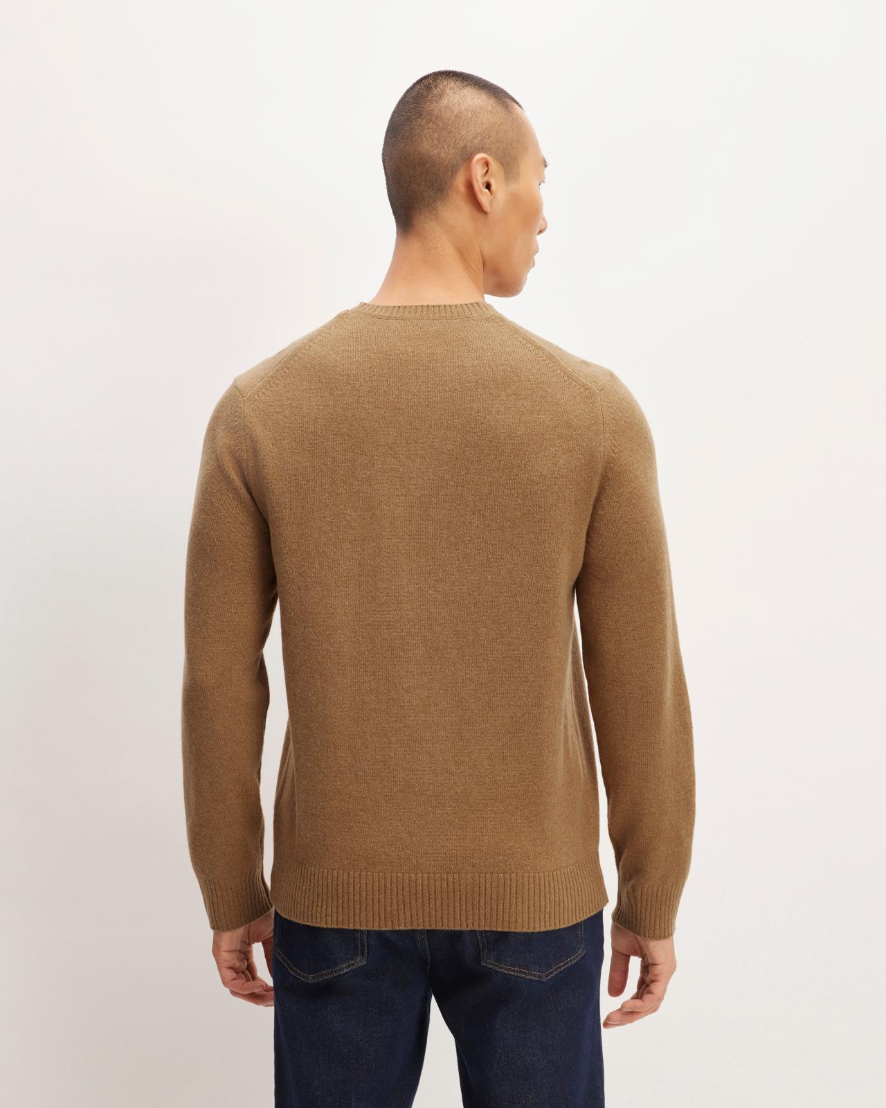 Mens Premium Merino Crew Neck Sweater by Everlane Product Image