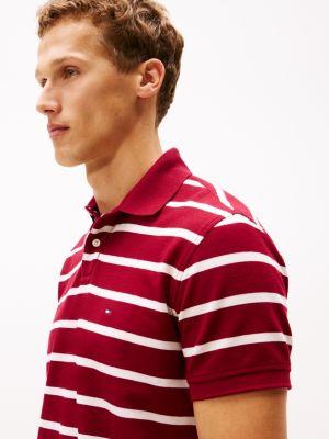 Regular Fit Stripe Wicking Polo Product Image