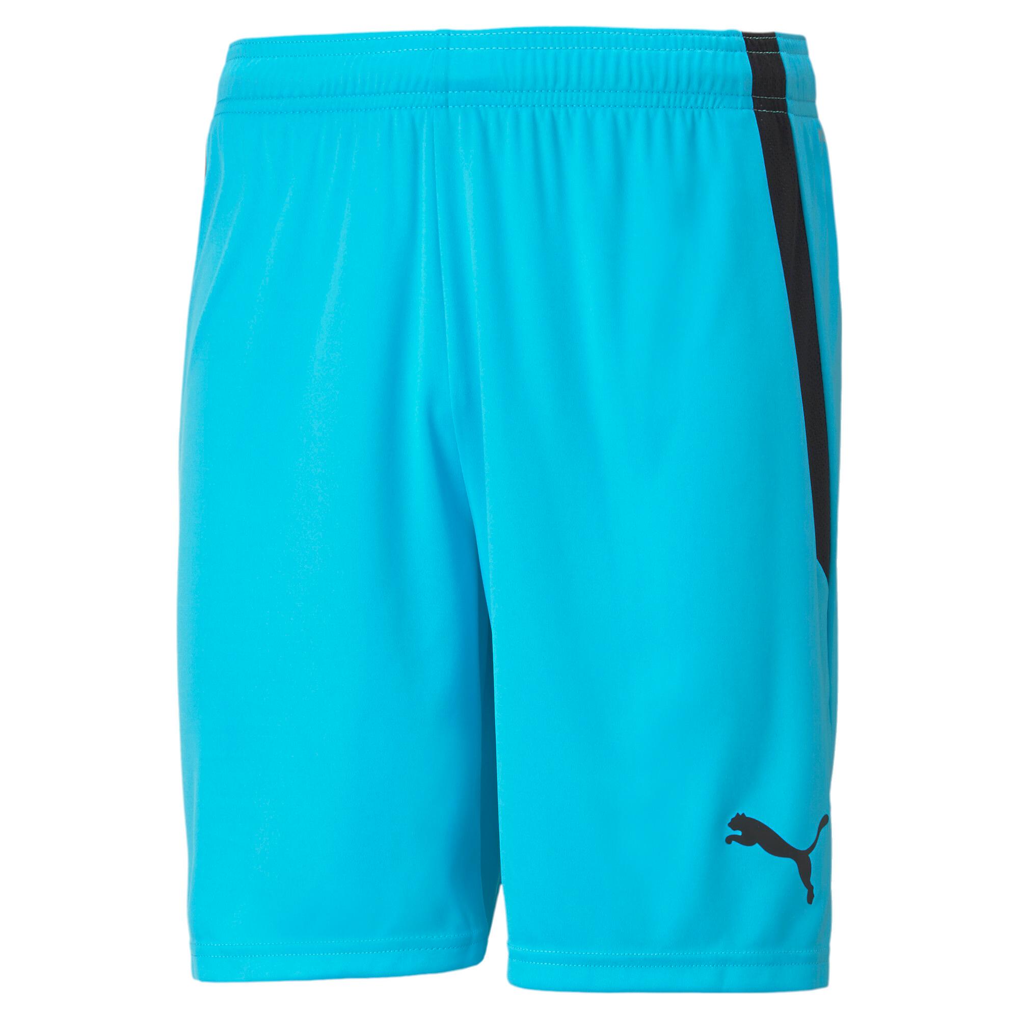 PUMA teamLIGA Men's Soccer Shorts Product Image