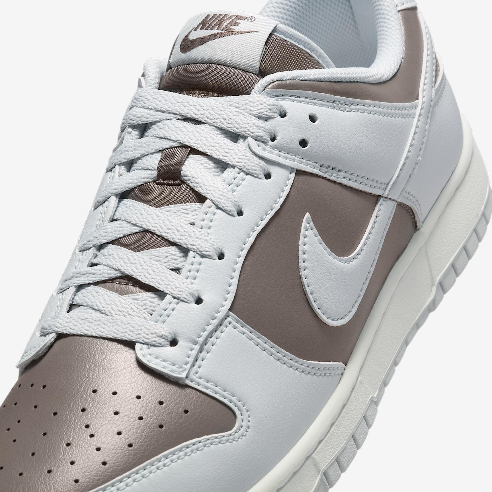 Nike Mens Dunk Low Retro Shoes | HF5441-202 Product Image