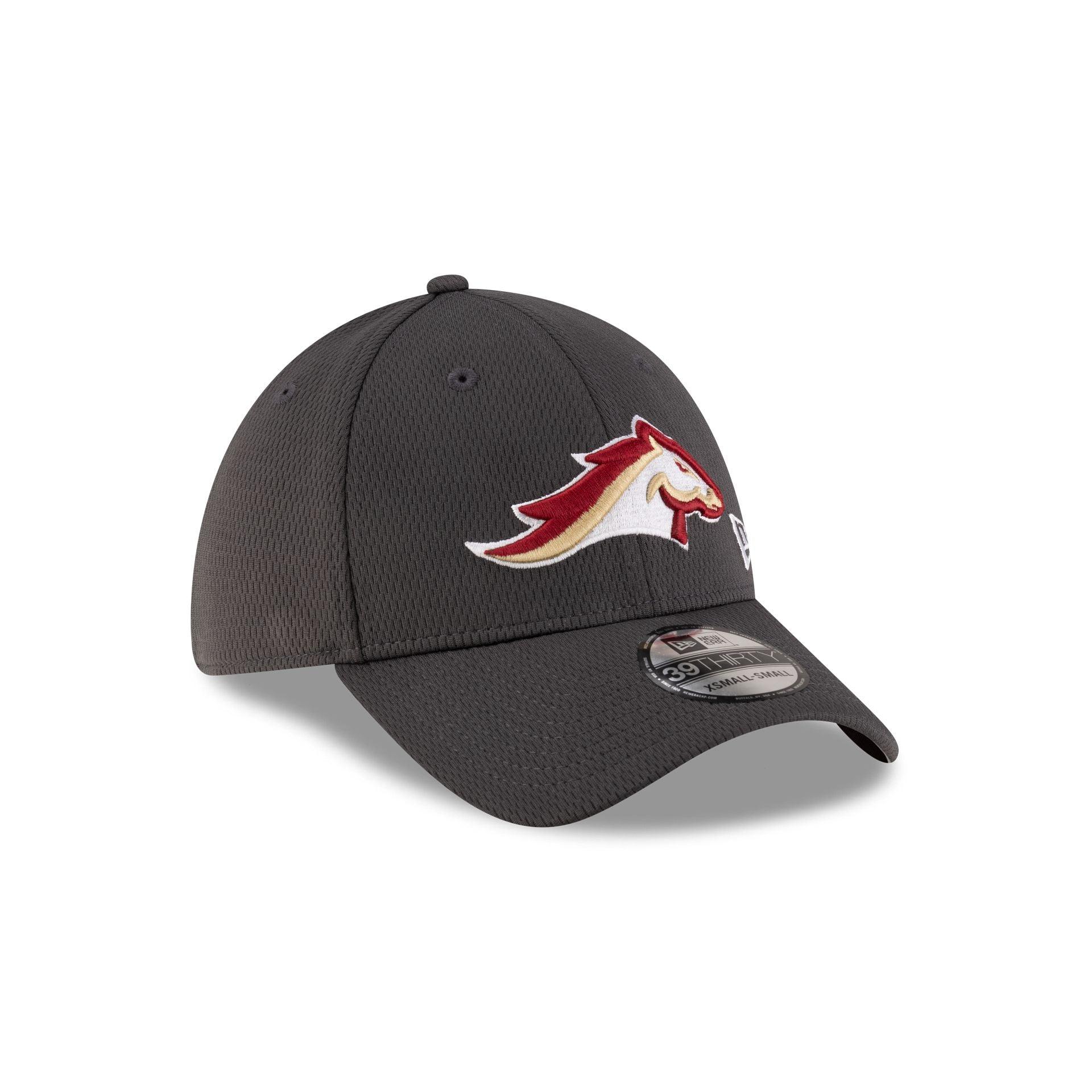 Edmonton Elks Rear Wordmark 39THIRTY Stretch Fit Hat Male Product Image