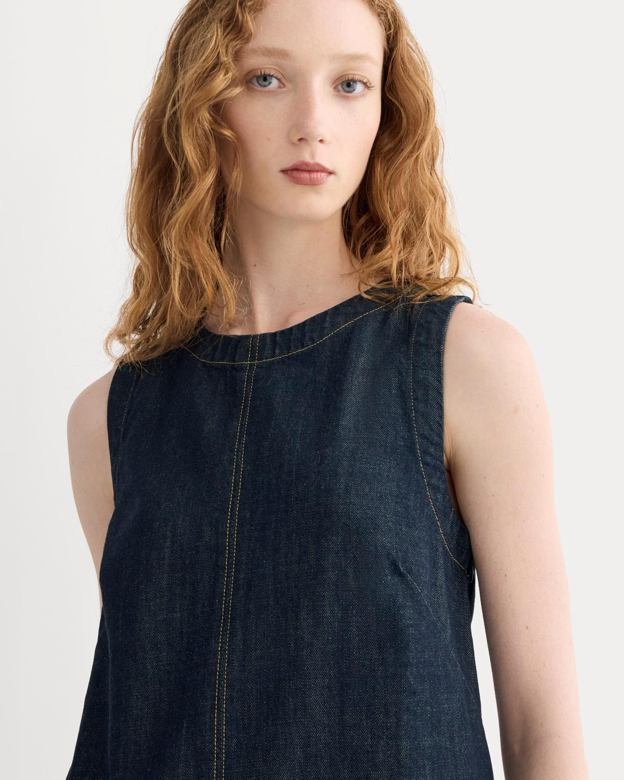 Womens Denim Shift Dress by Everlane Product Image