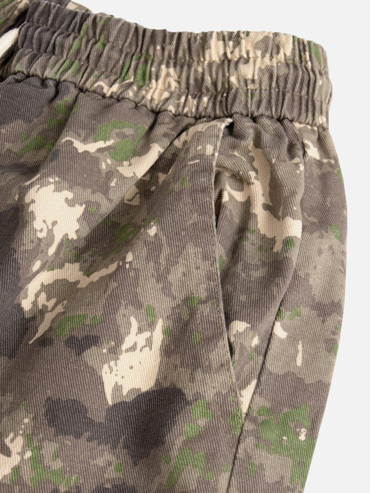 Aelfric Eden Multi-Pocket Camo Shorts Product Image