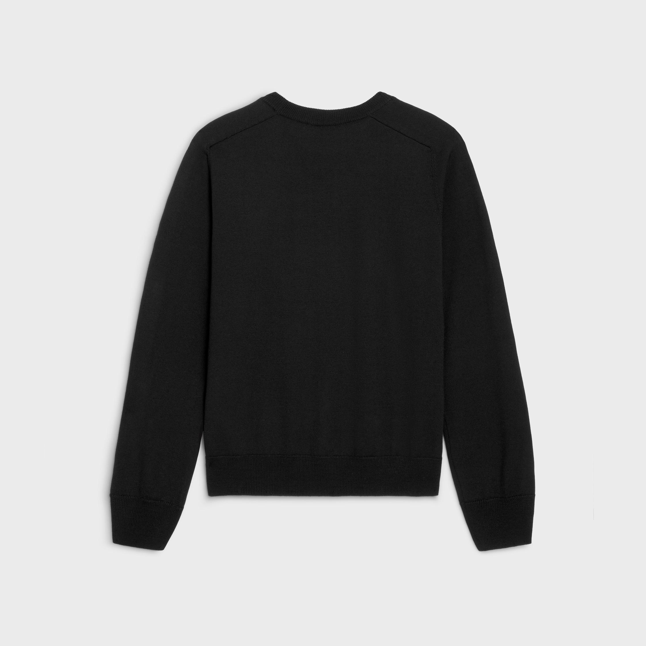 triomphe crew neck sweater in wool Product Image