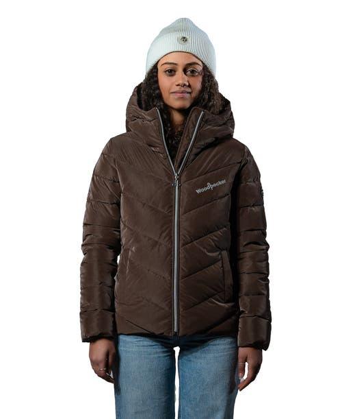 Woodpecker Women's Robin Medium Weight Coat Product Image
