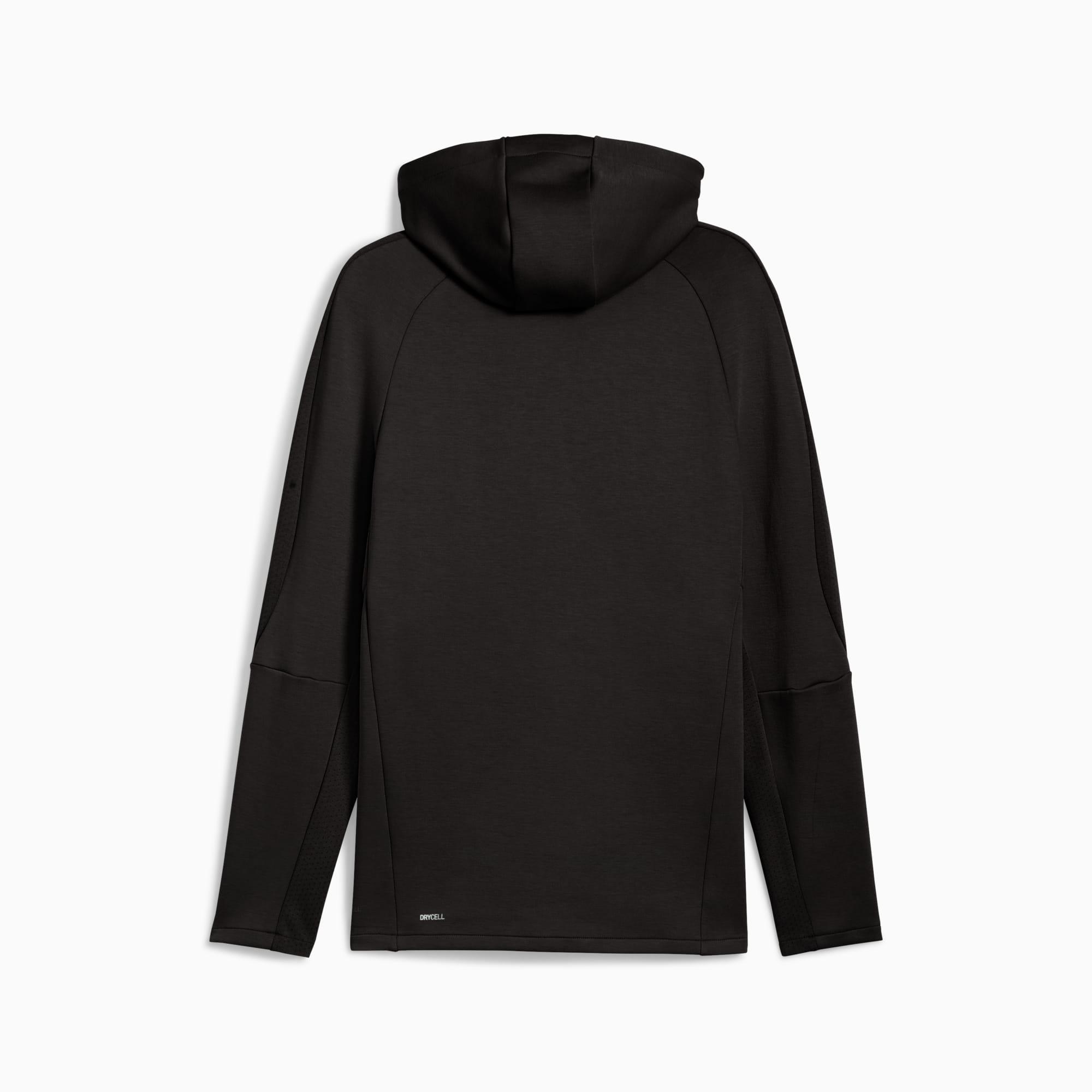 Evostripe Men's Full-Zip Hoodie Product Image