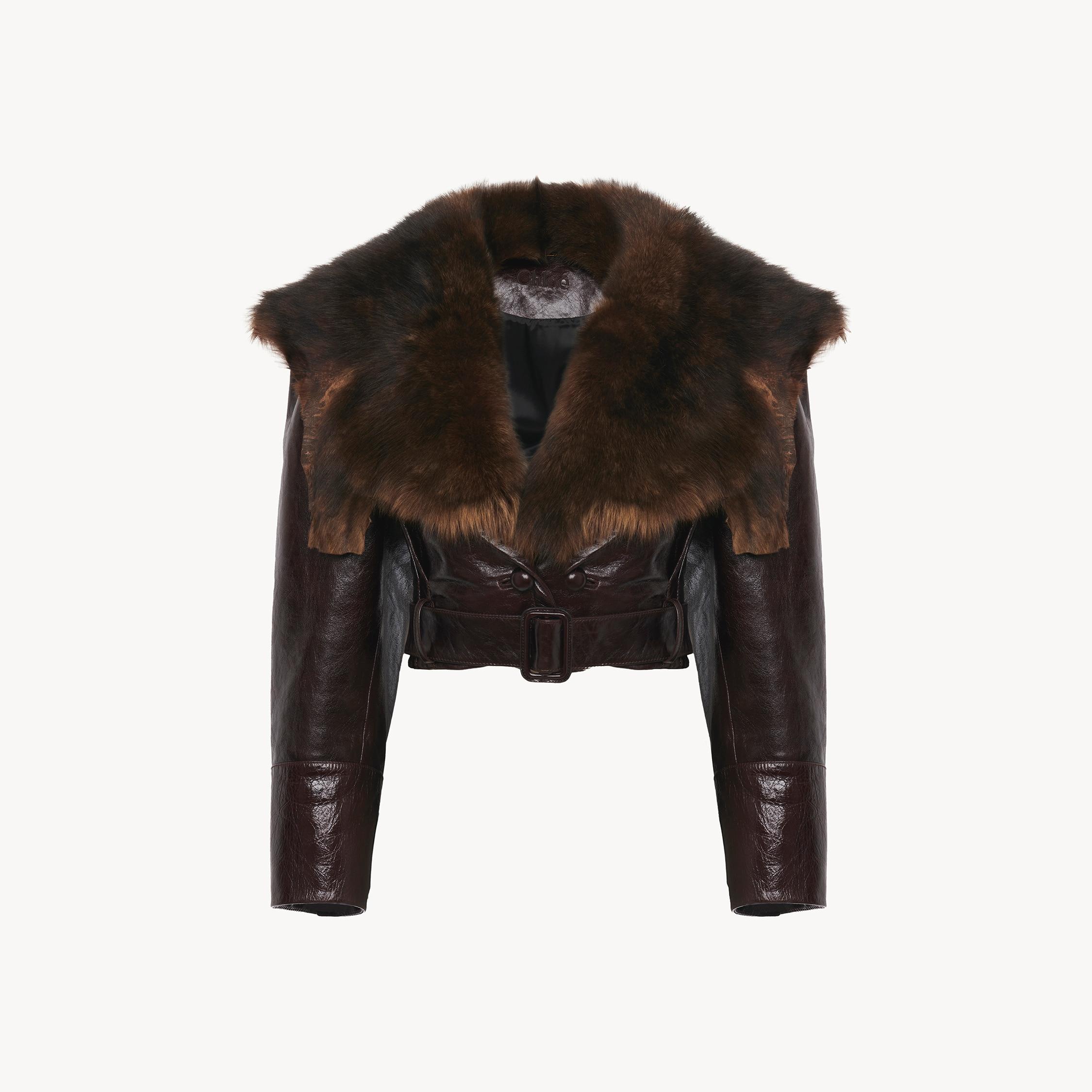 CHLOÉ Shiny Leather Crop Moto Jacket With Removable Lamb Shearling Collar In Brown Product Image