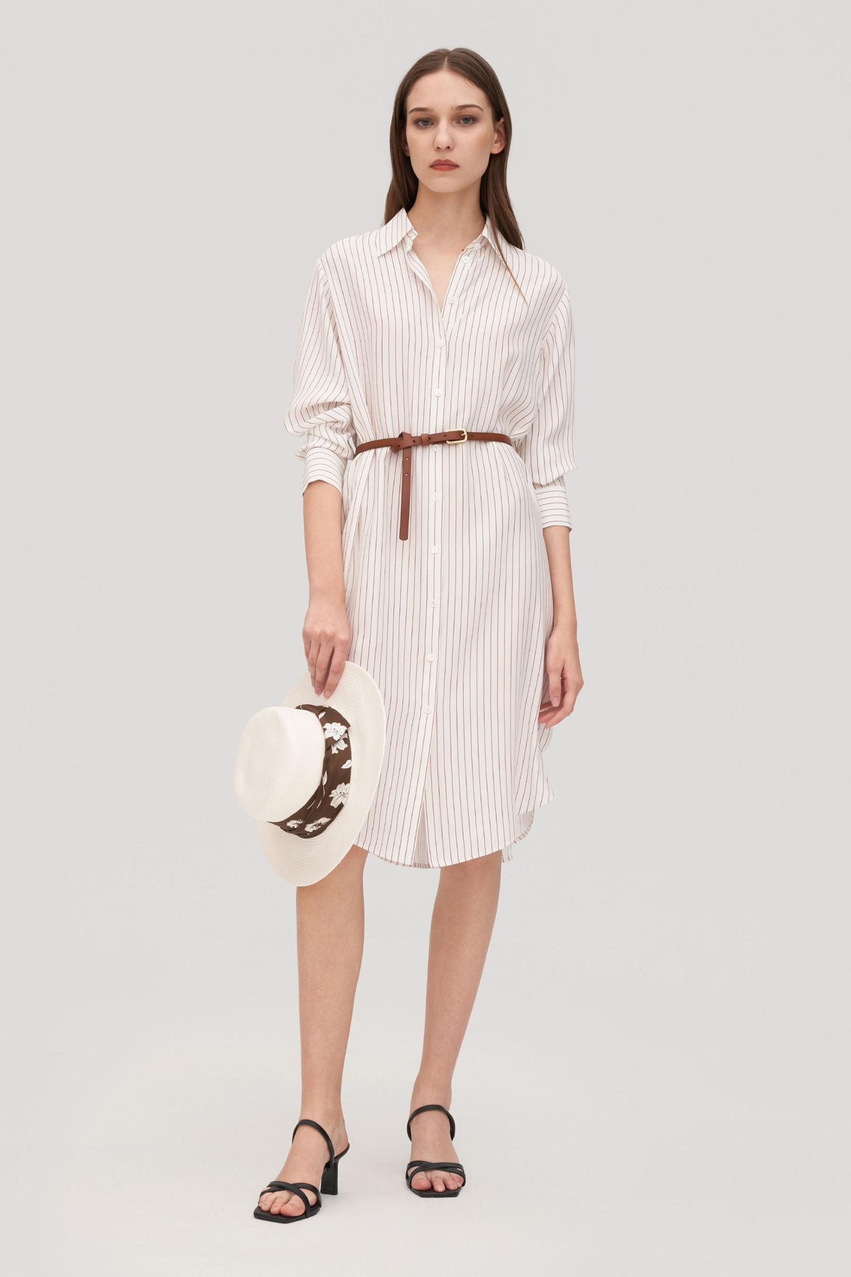Pinstriped Freesia Shirt Dress Product Image