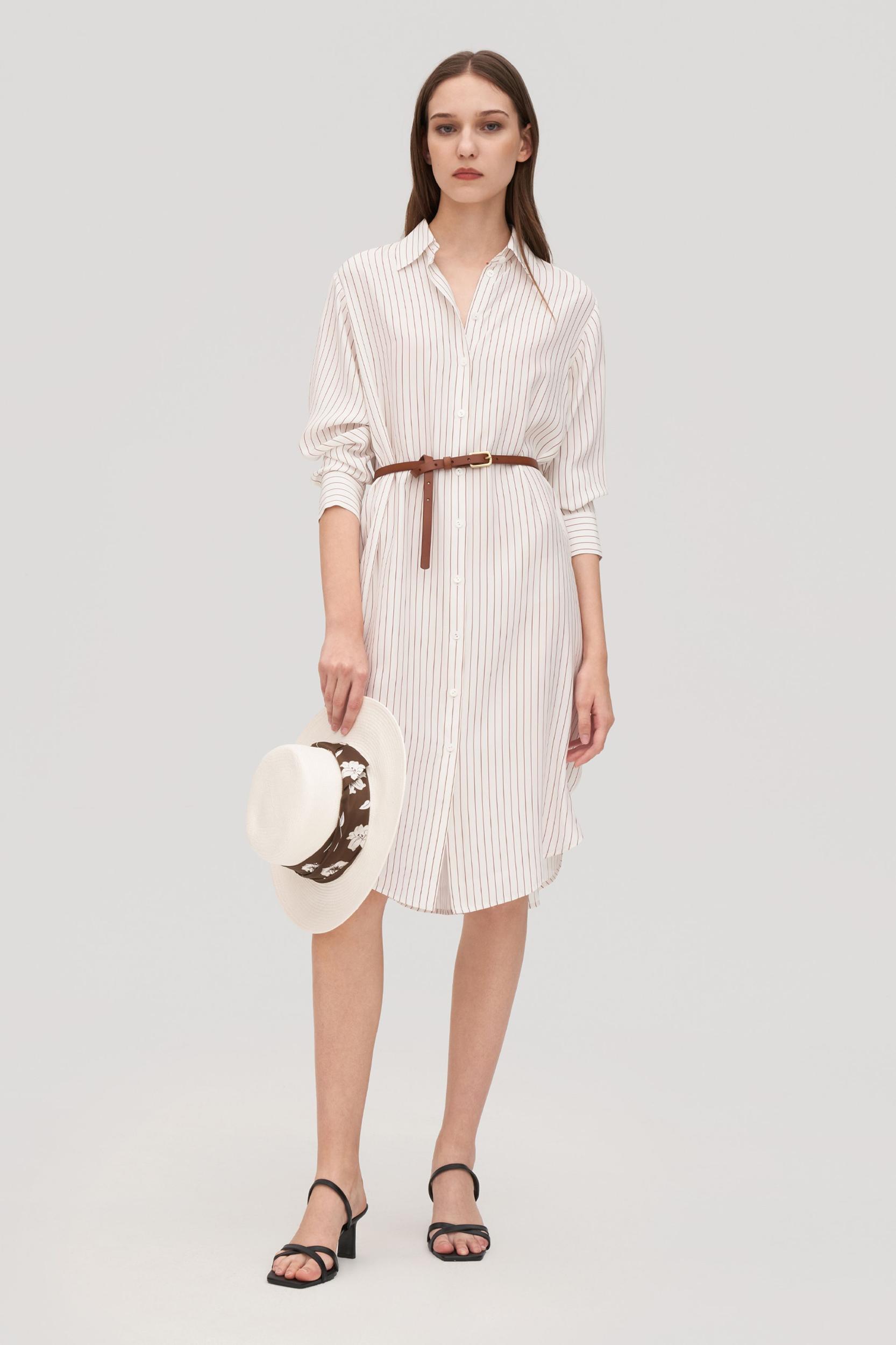 Pinstriped Freesia Shirt Dress Product Image