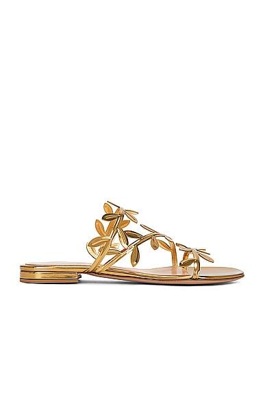 GIANVITO ROSSI Flavia Metallic Leather Sandals In Mekong Product Image