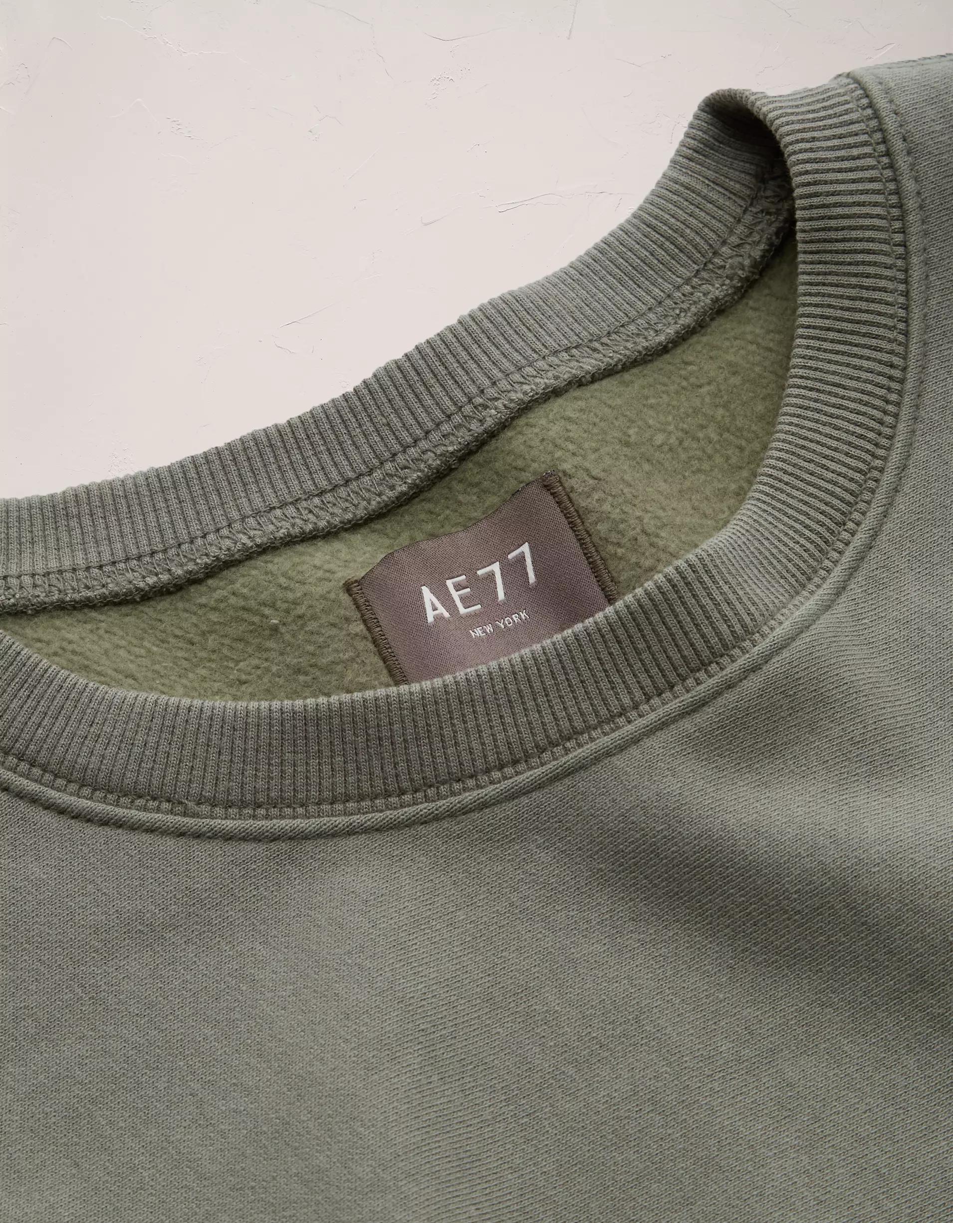 AE77 Premium Fleece Crew Neck Sweatshirt Product Image