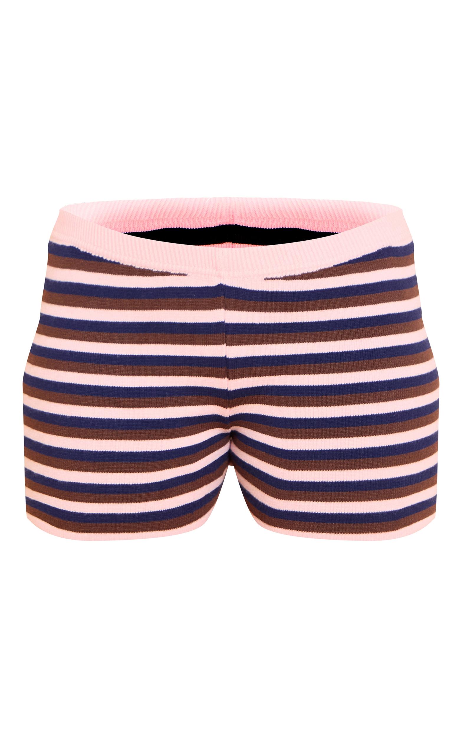 Pink Striped Knit Shorts Product Image