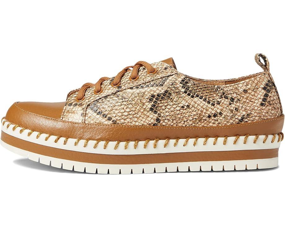 Online Lace-up Shoes Product Image