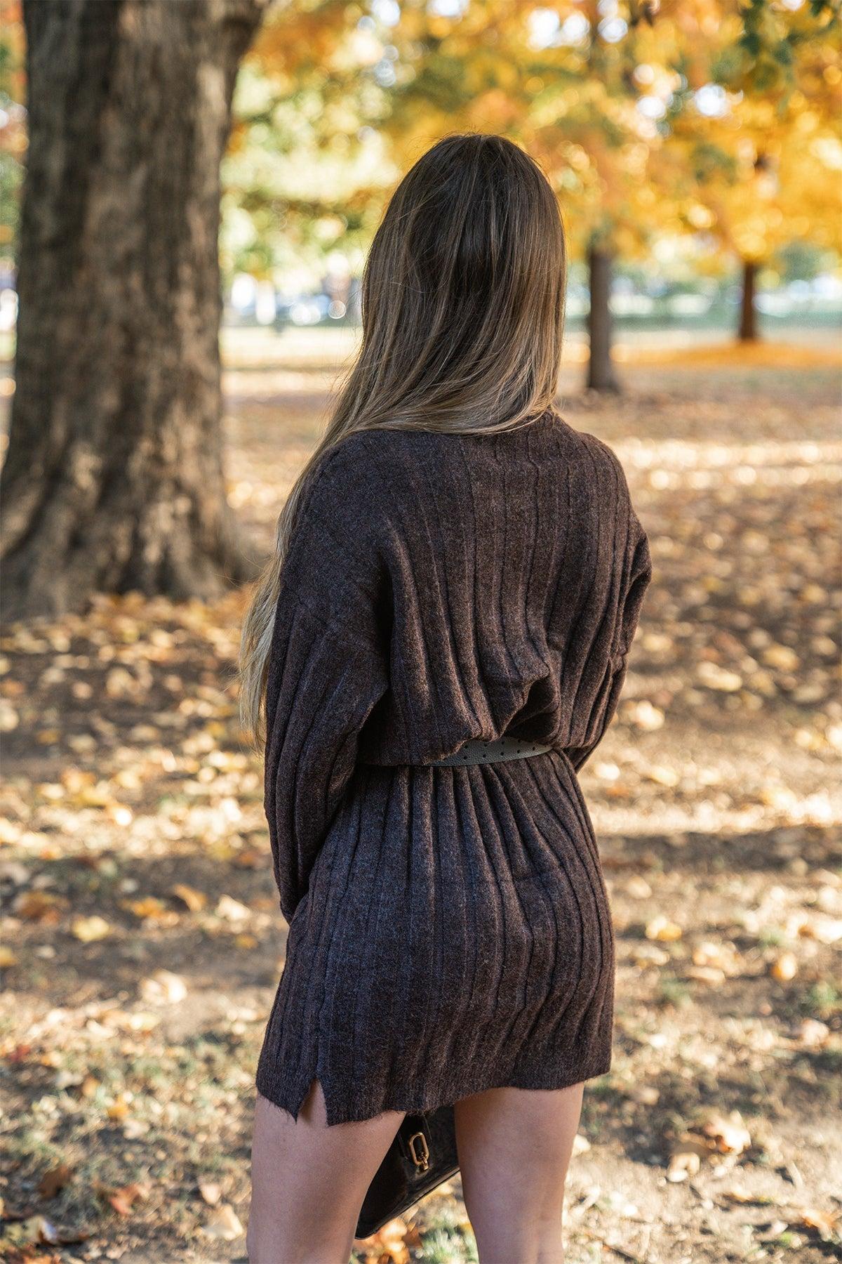 Brown Mock Neck Sweater Dress - FINAL SALE Product Image