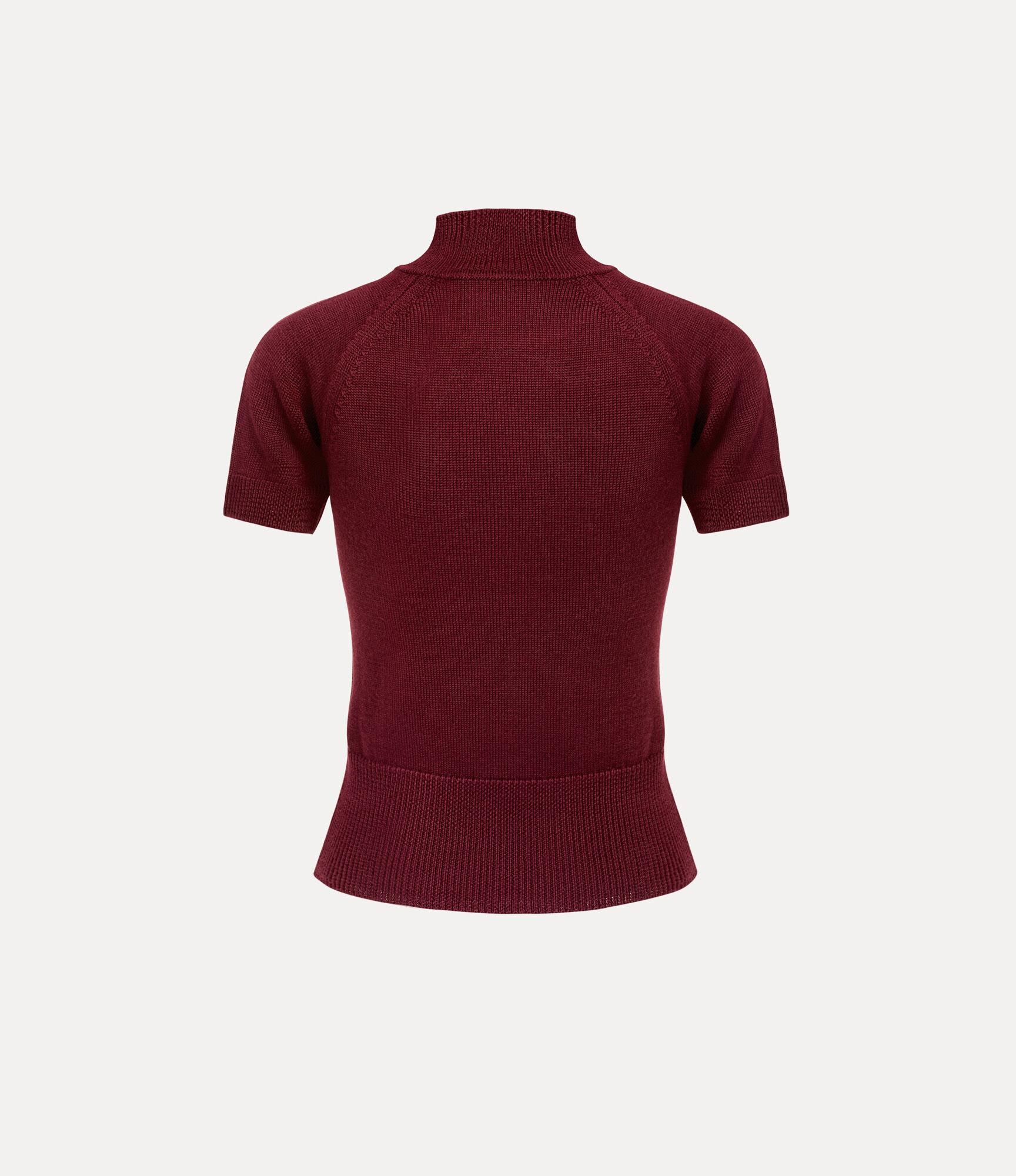 Bea Turtleneck Top Product Image