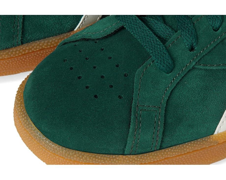 Campio XT Product Image