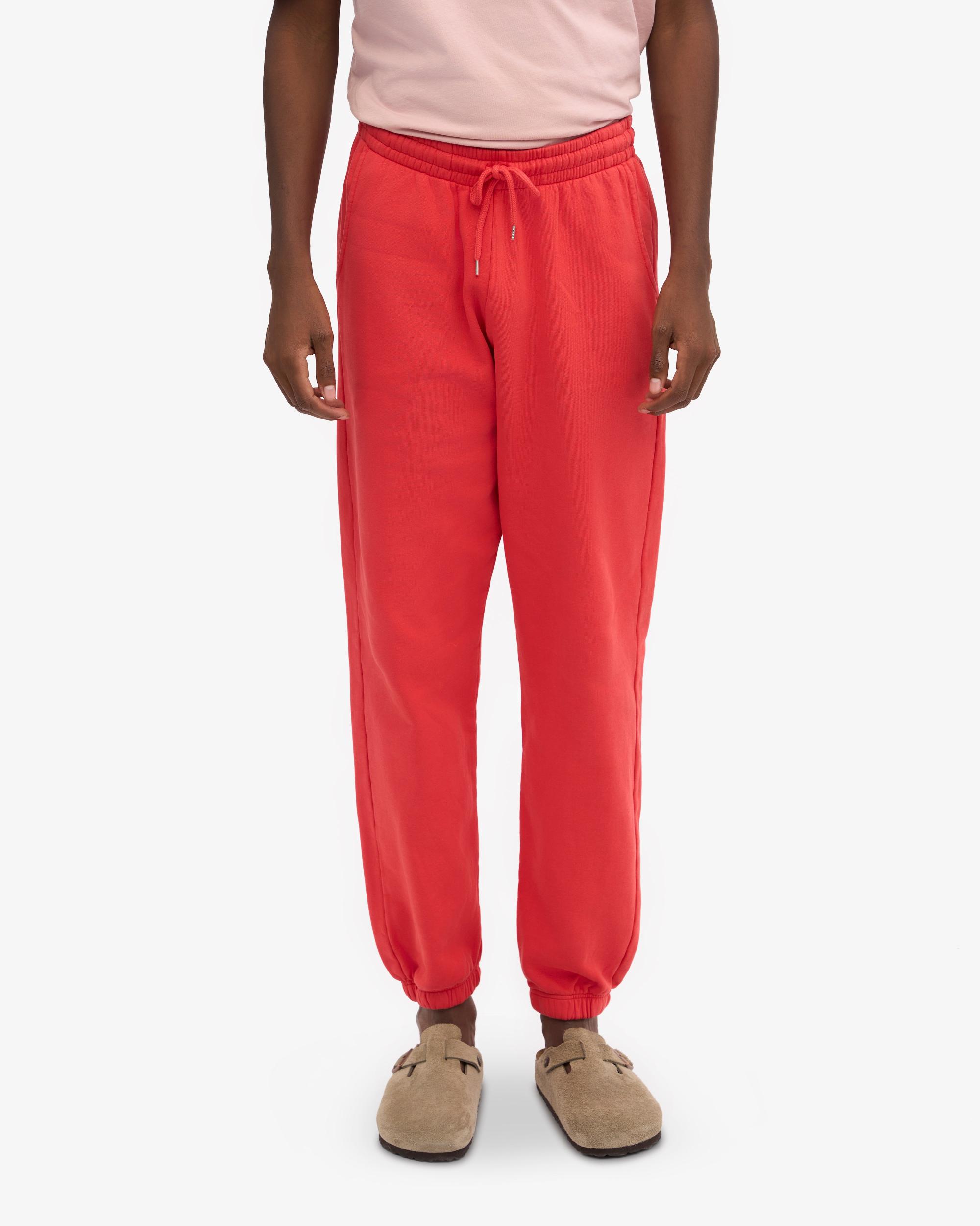 Organic Sweatpants - Hunter Green Product Image