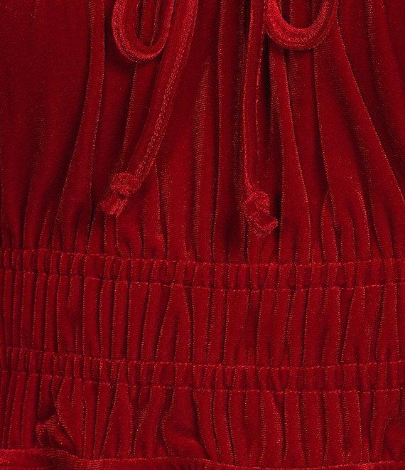 Copper Key Velvet Elastic Short Sleeve Dress Product Image