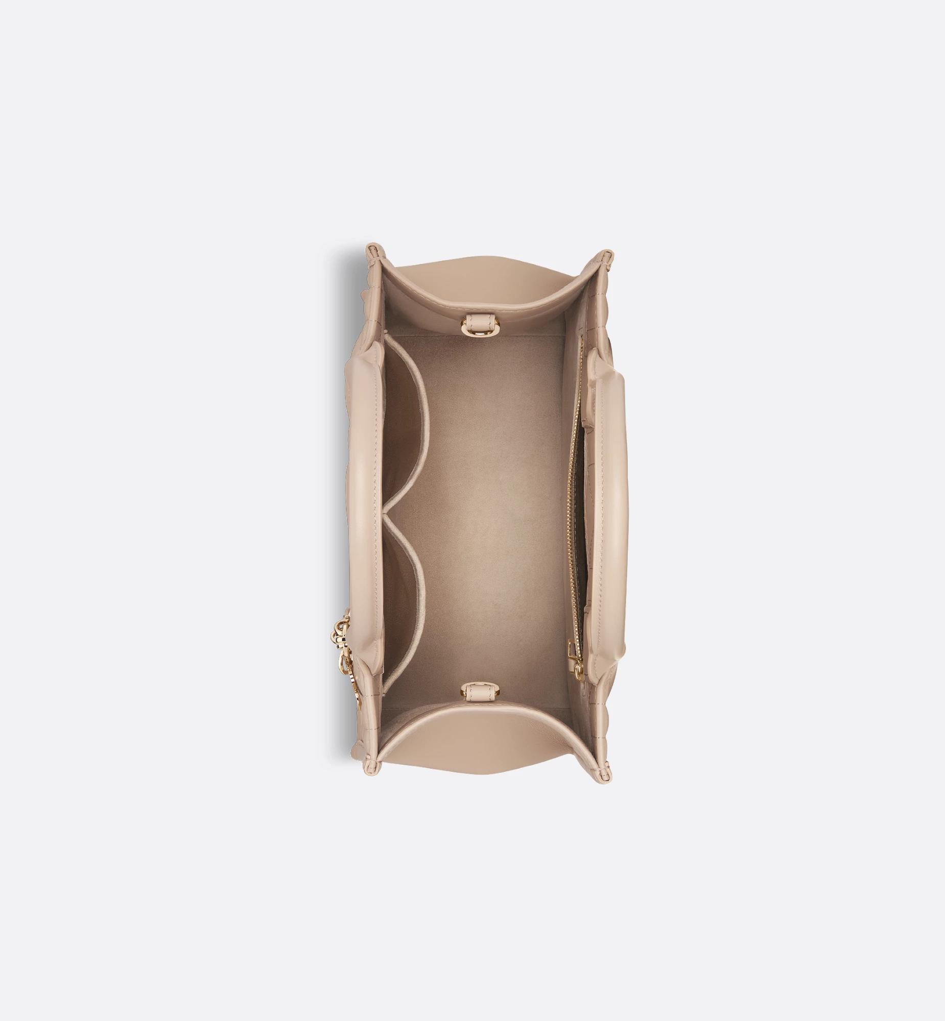 Small Dior Book Tote Product Image