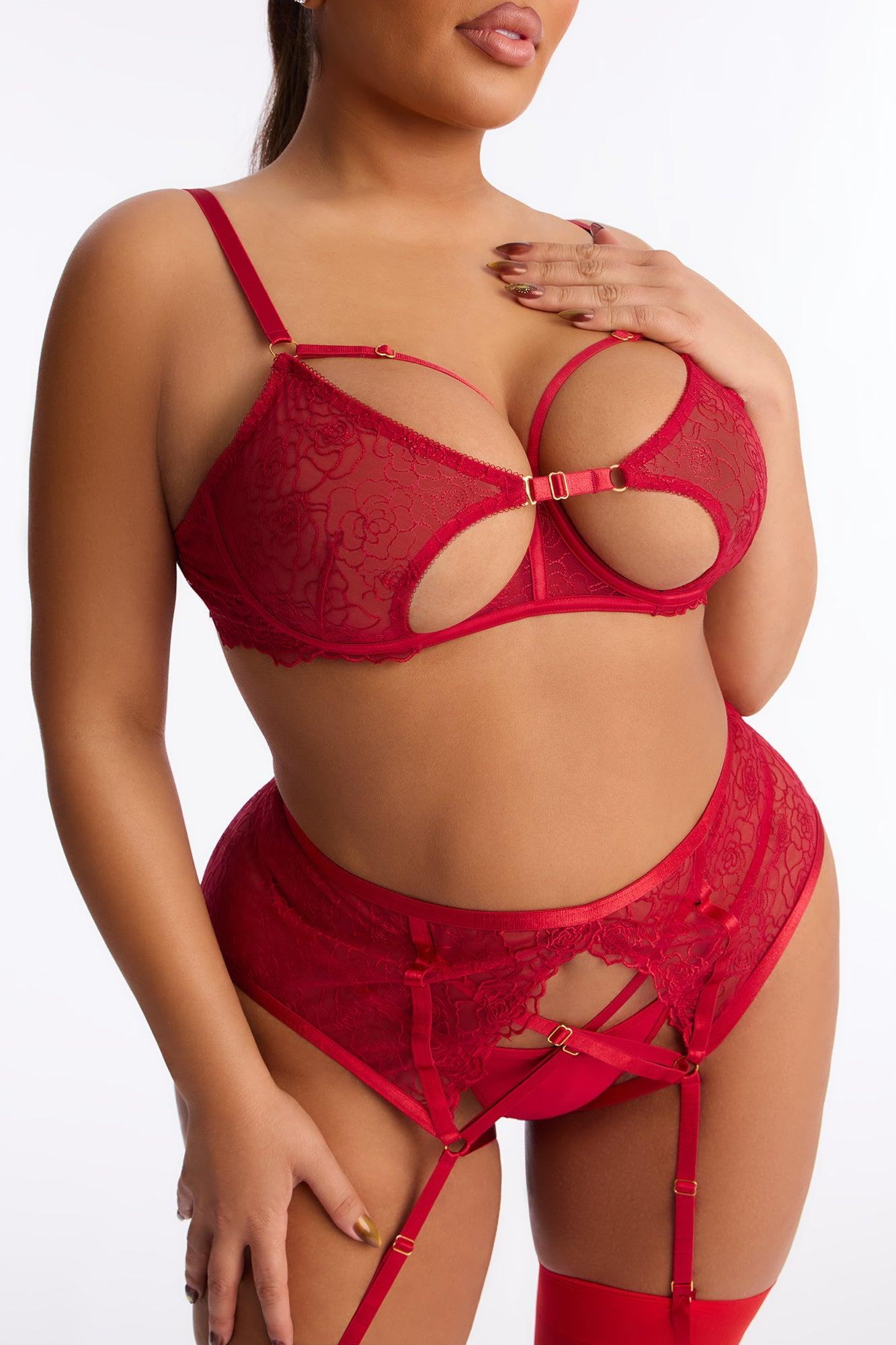 Bound By Desire Mesh Embroidered 3 Piece Bra And Panty Garter Set - Red Female Product Image