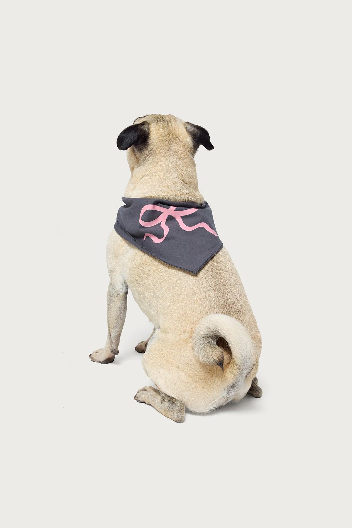 Bonney Bow Pet Bandana Product Image