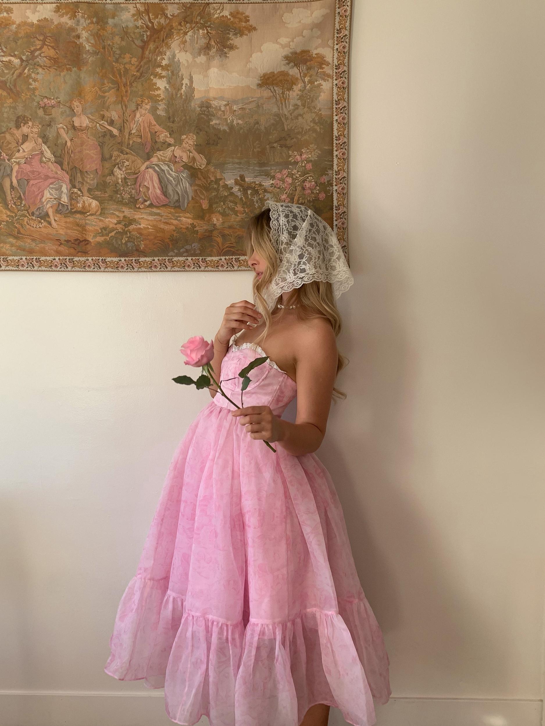 The Pink Porcelain French Corset Puff Dress Product Image