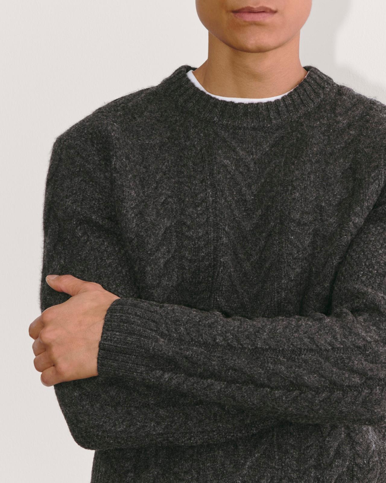Mens Felted Merino Cable-Knit Crew Sweater by Everlane Product Image