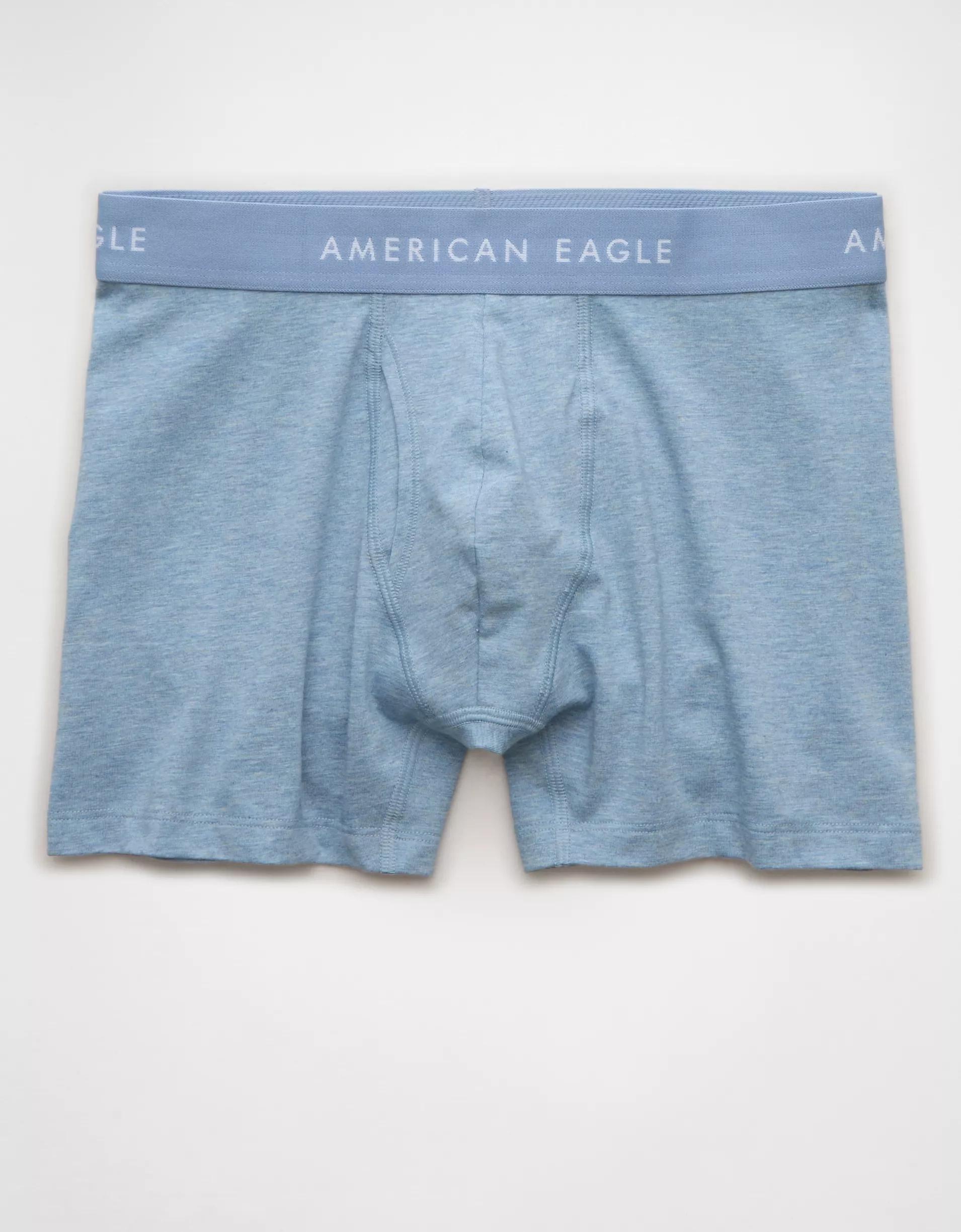 AEO Men's 4.5" Classic Boxer Brief Product Image