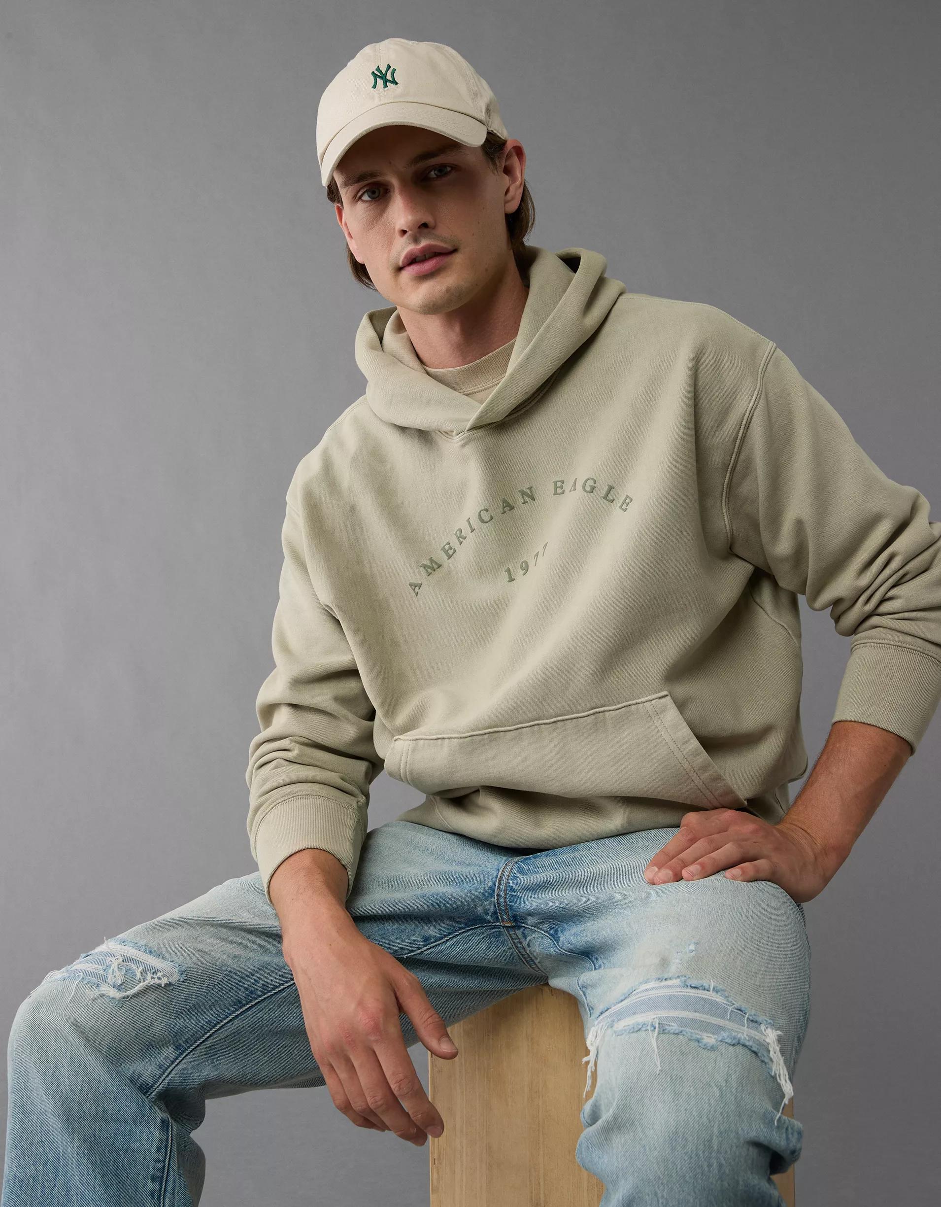 AE Laidback Luxe Heavyweight Logo Hoodie Product Image