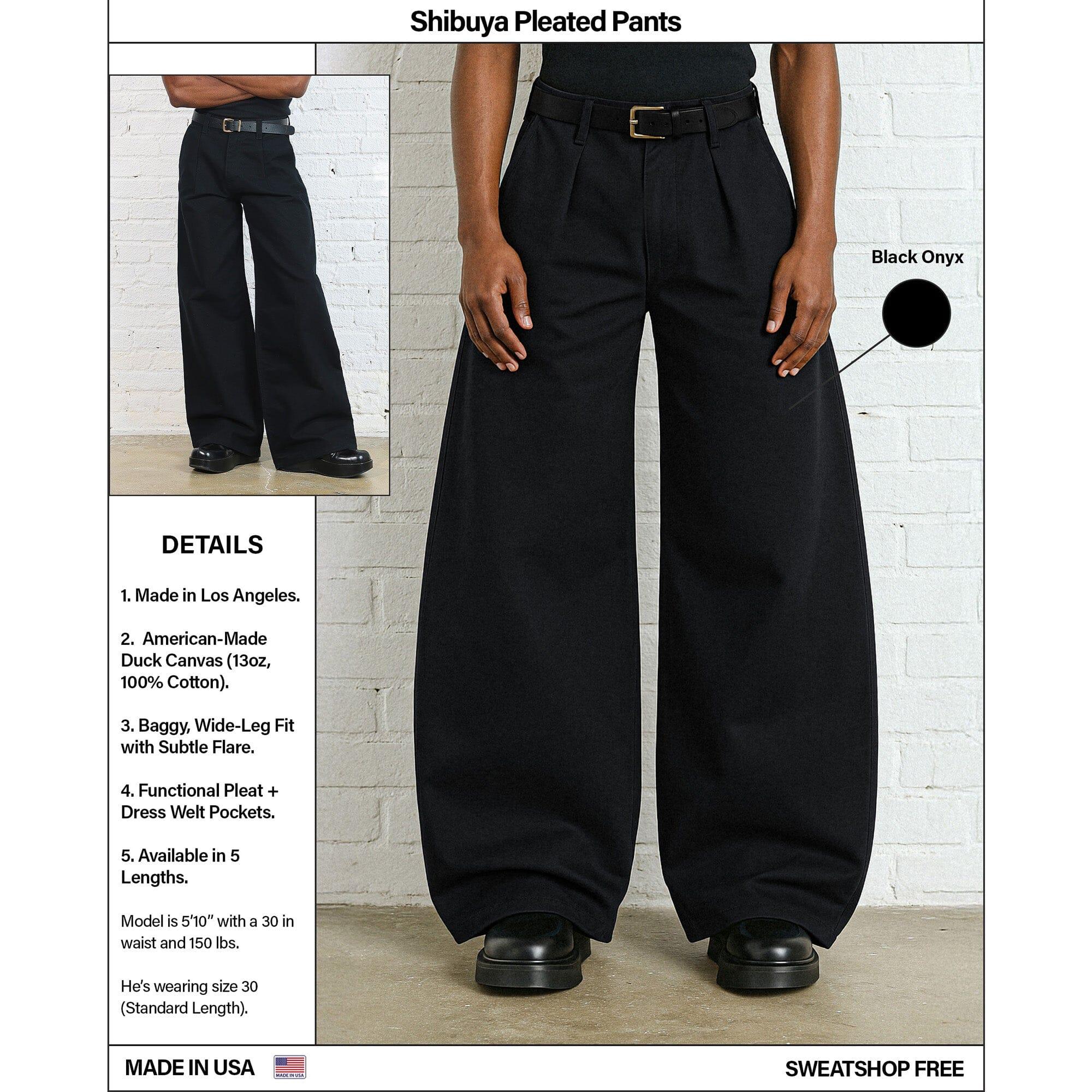 Shibuya Pleated Pants | Baggy, Wide-Leg Product Image