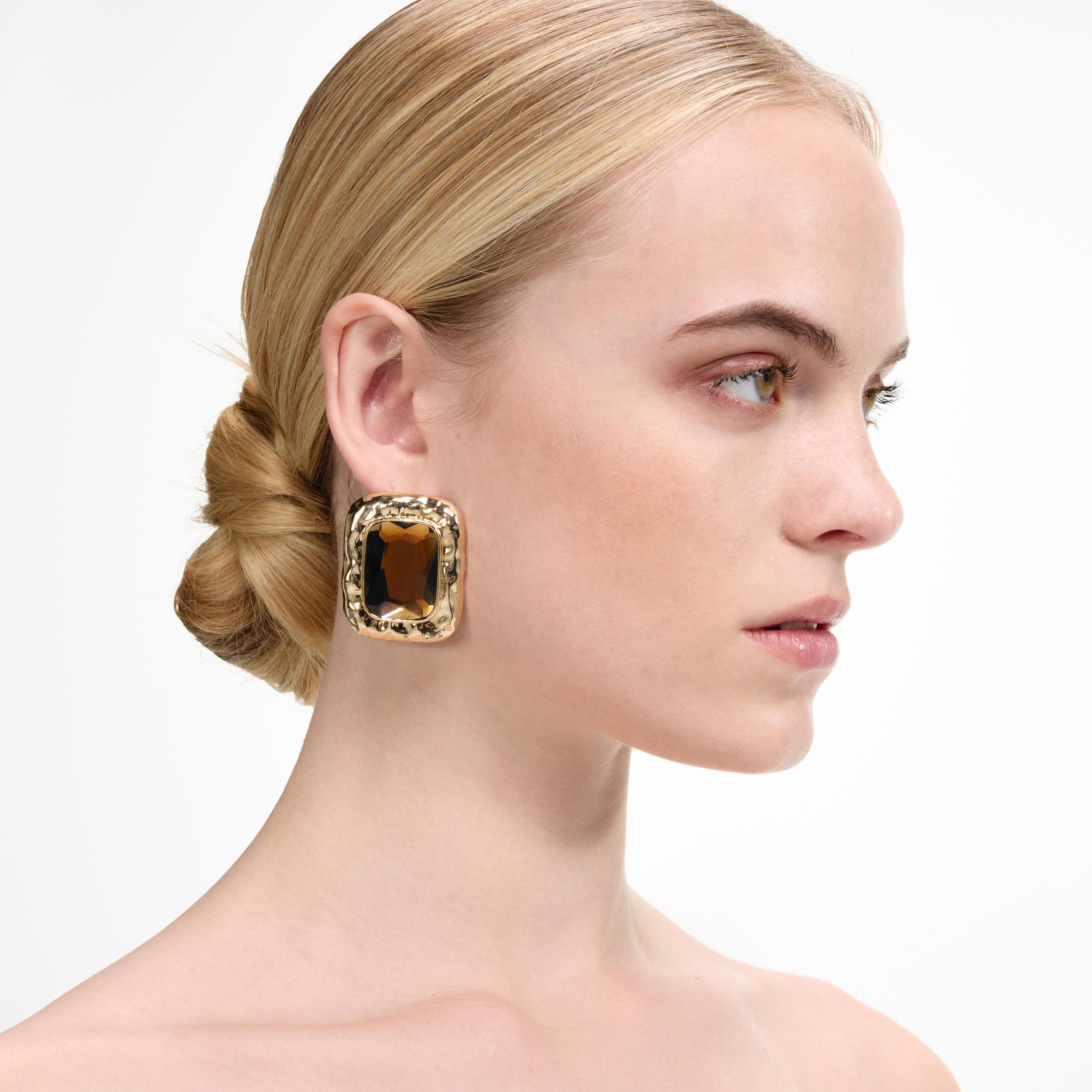 Mottled Gold Amber Earrings Product Image