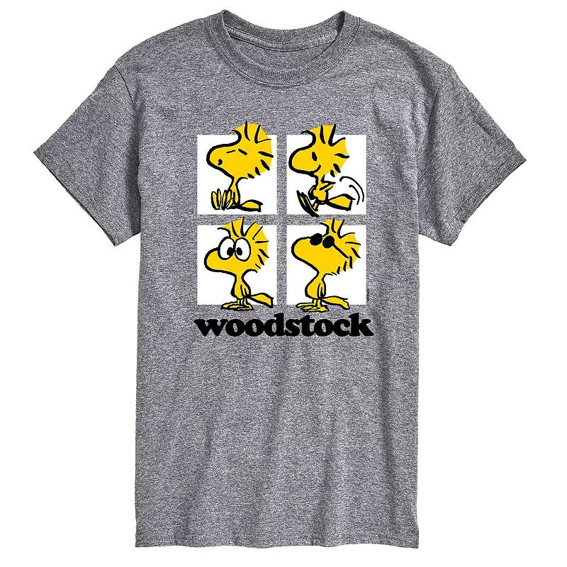 Big & Tall Peanuts Woodstock Grid Graphic Tee, Men's,  Product Image