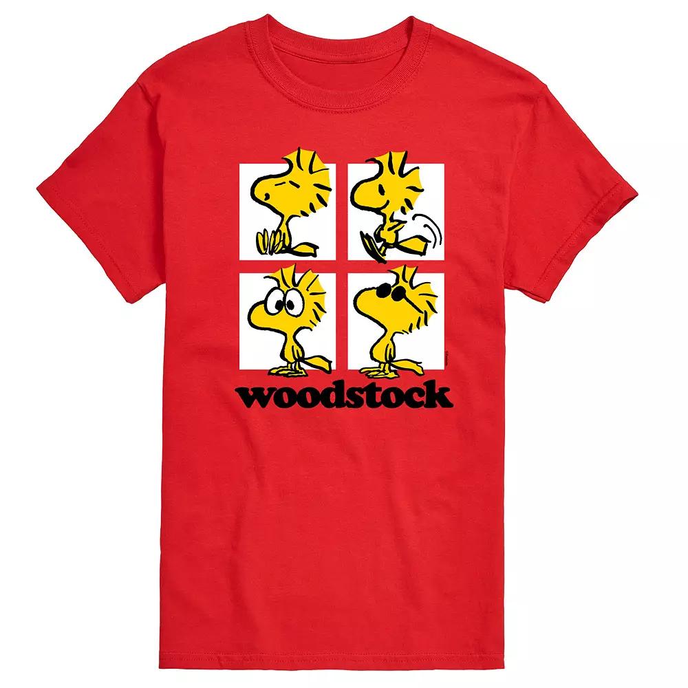 Big & Tall Peanuts Woodstock Grid Graphic Tee, Men's,  Product Image