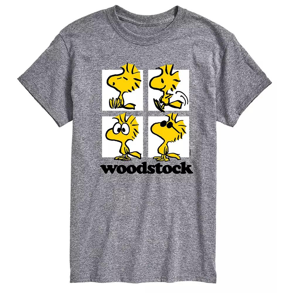 Big & Tall Peanuts Woodstock Grid Graphic Tee, Men's,  Product Image