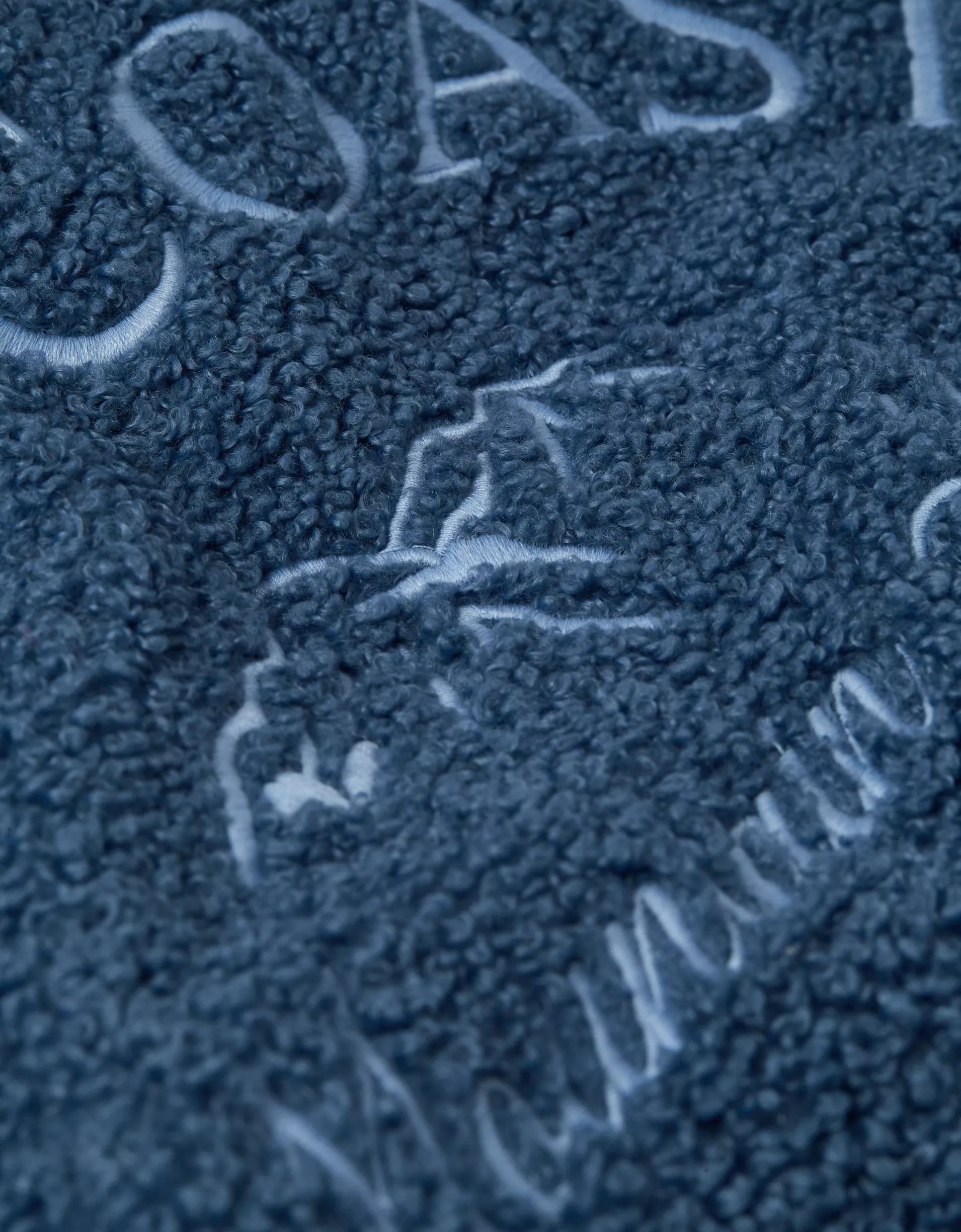 AE Sherpa Fleece Graphic Henley Sweatshirt Product Image