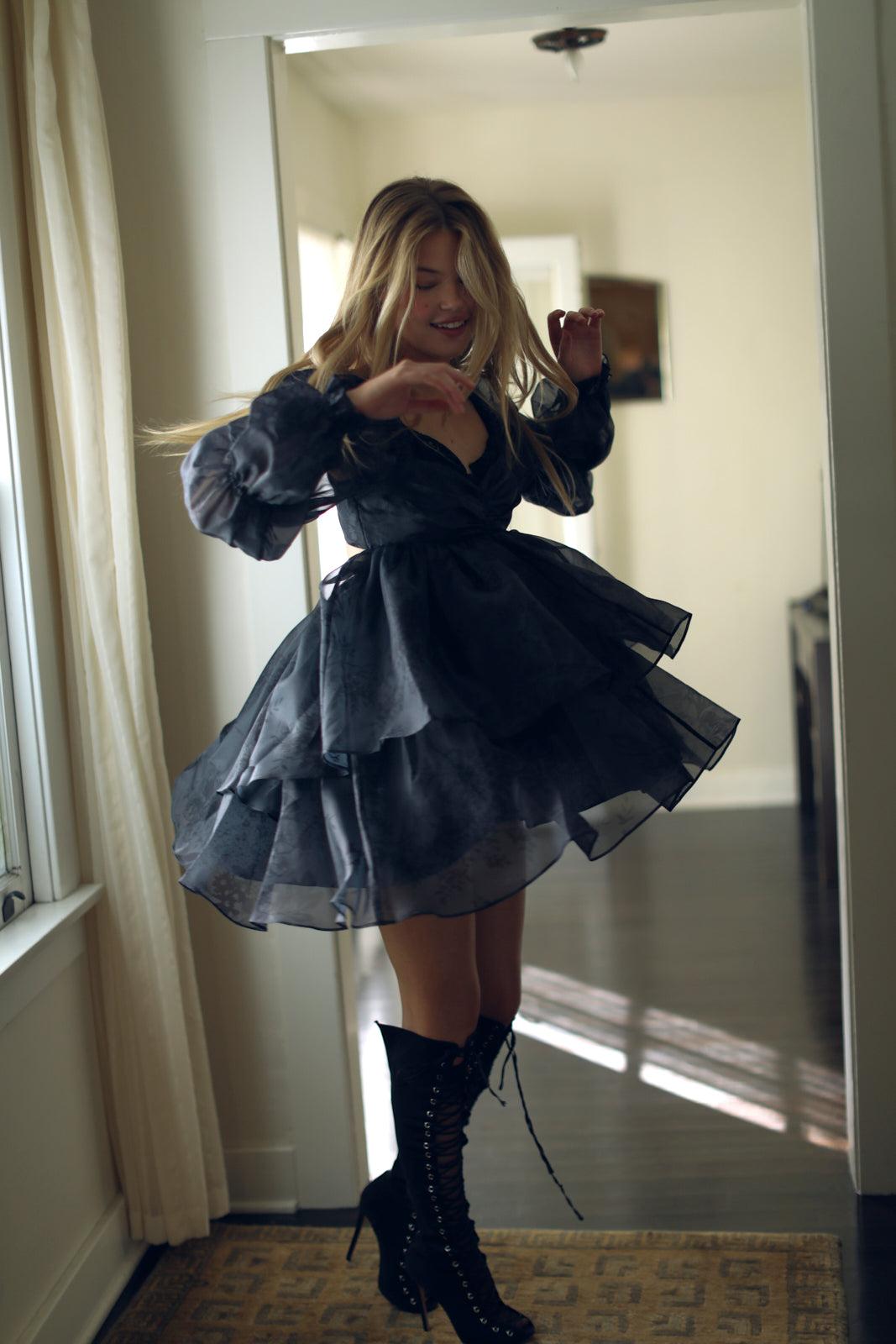 The Blackberry Moonlight Dress Product Image