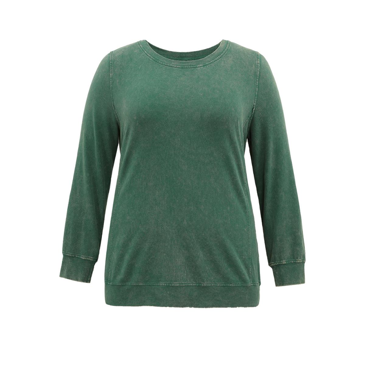 Plus Size Solid Vintage Round Neck Sweatshirt Women Cyan Casual Plain Round Neck Dailywear Sweatshirts BloomChic 14-16/1X Product Image