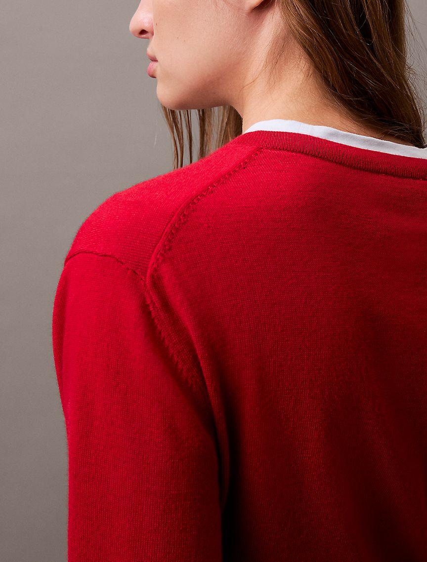 Extra Fine Merino Blend V-Neck Sweater Product Image