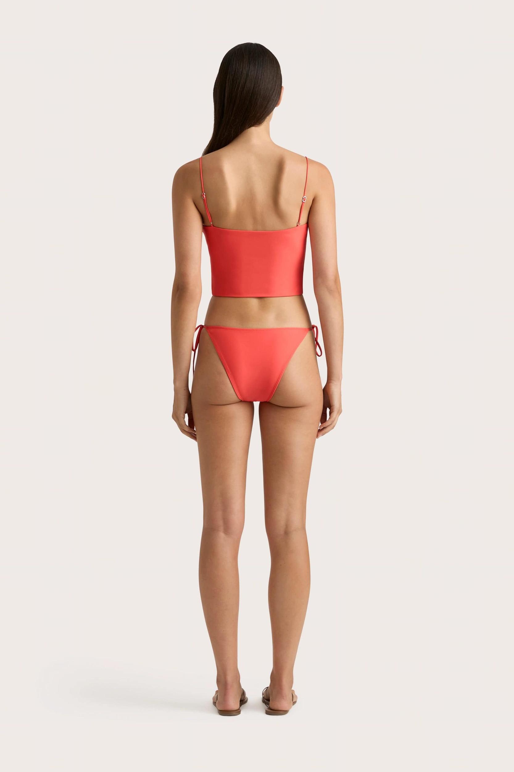 Sol Bikini Top Vermillion - Final Sale Product Image