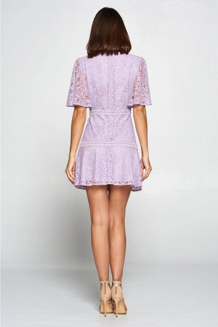 Lilac Lace Floral Mini Dress Product Image