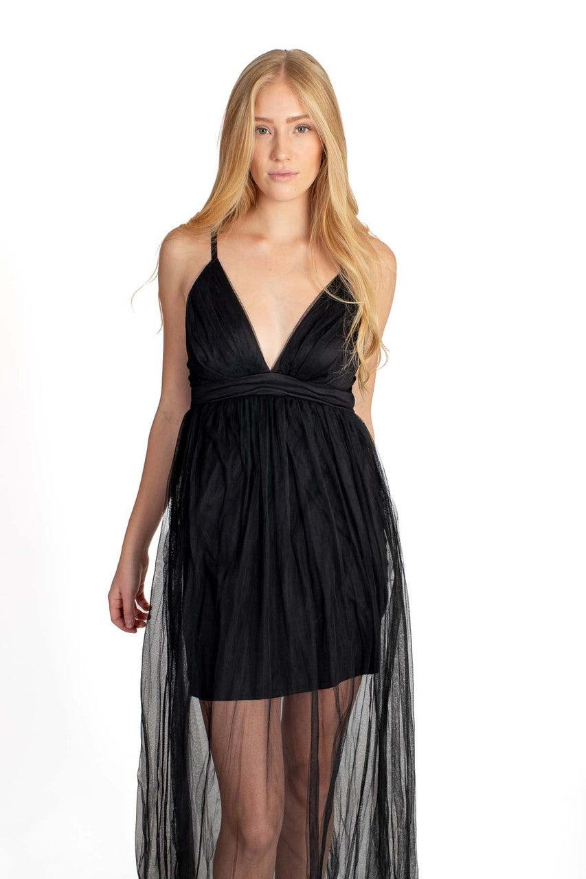 Tulle Maxi Dress Product Image