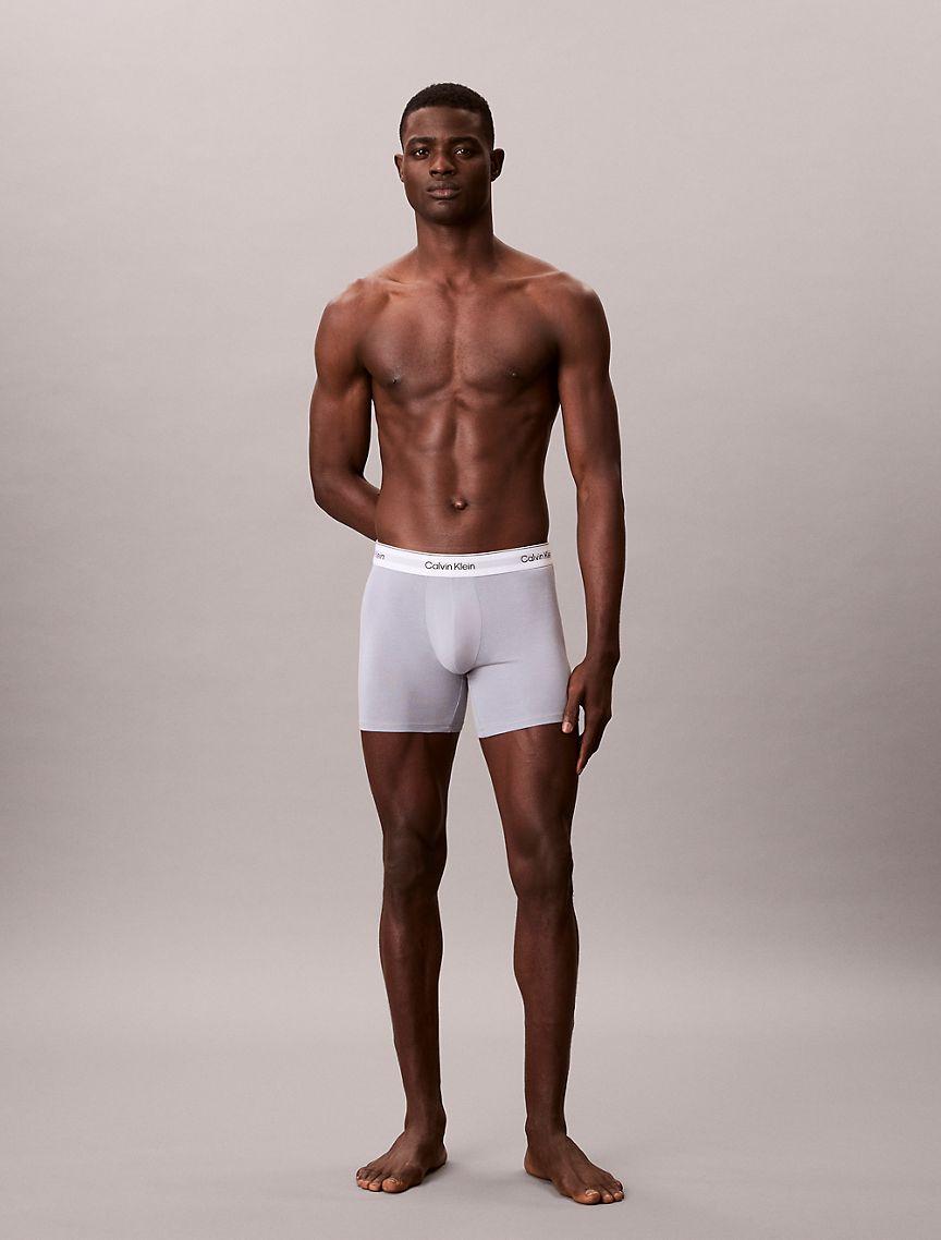 Icon Cotton Stretch 3-Pack Boxer Brief Product Image
