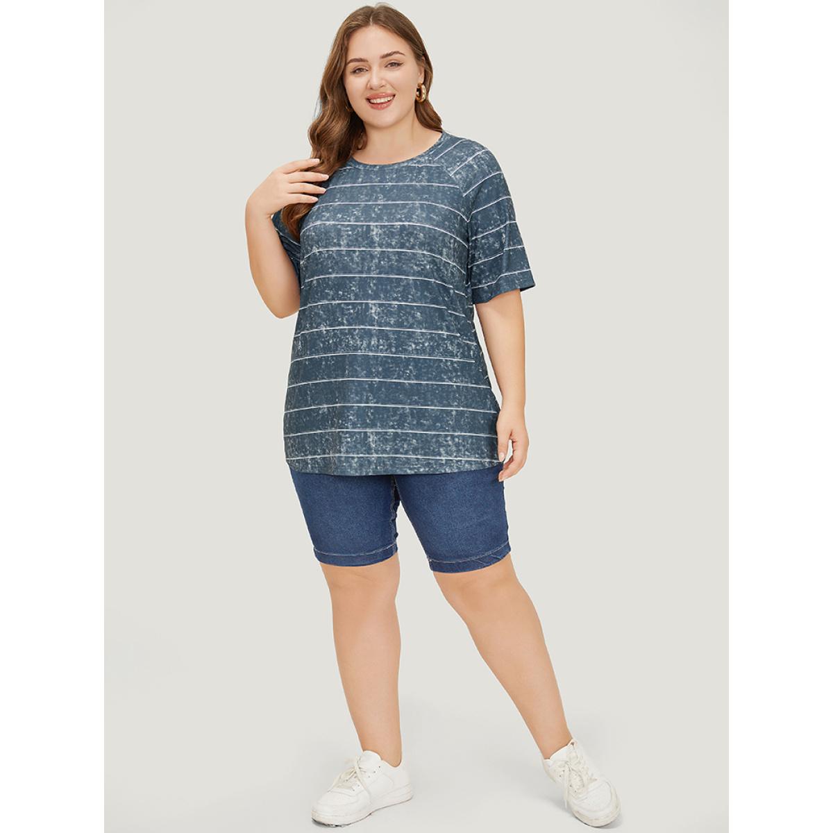 Plus Size Striped Print Raglan Sleeve Vintage T-shirt DimGray Women Casual Contrast Striped Round Neck Dailywear T-shirts BloomChic 22-24/3X Product Image