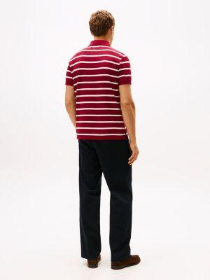 Regular Fit Stripe Wicking Polo Product Image