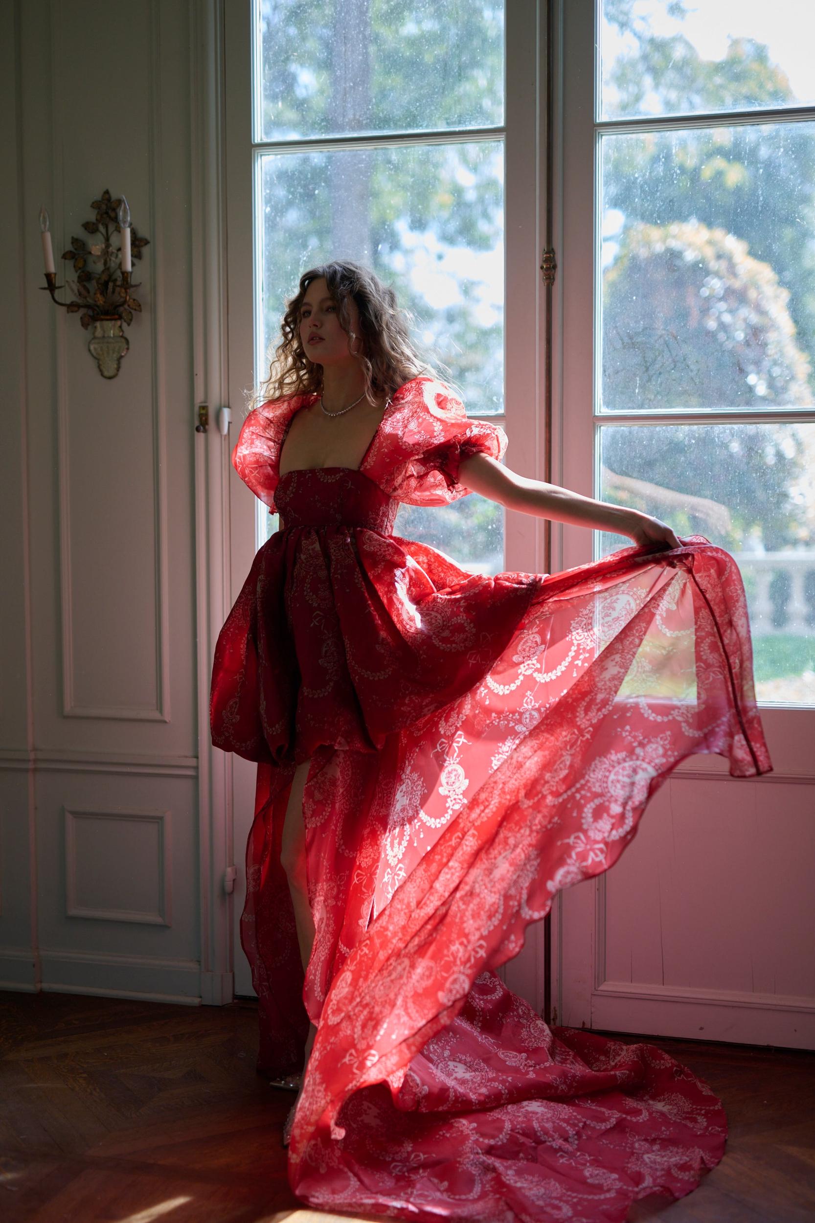 The Ornament Fairytale Gown Product Image