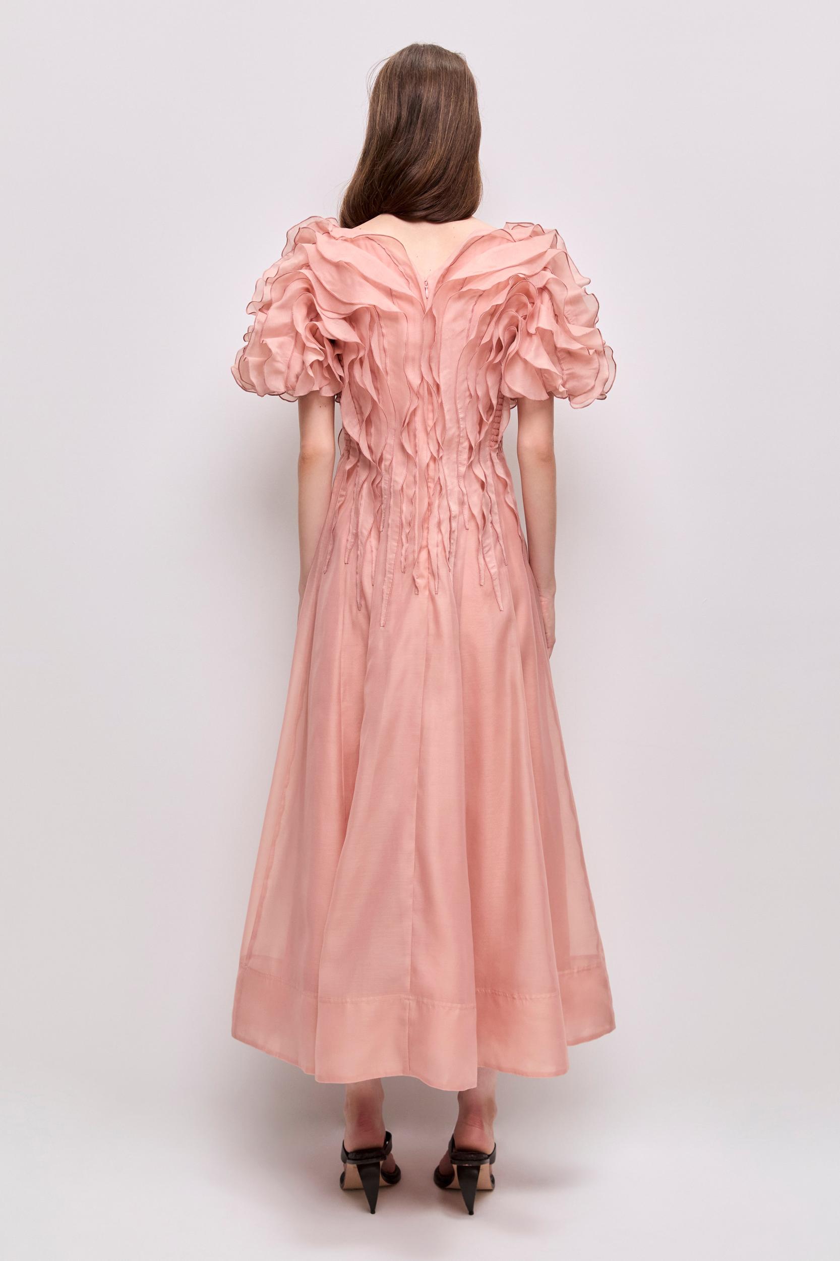 Seraphina Midi Dress-STONE ROSE / 4 Product Image