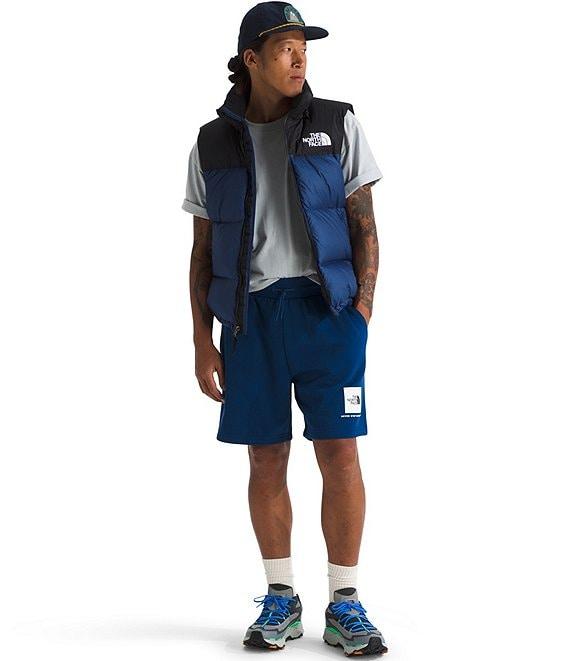The North Face Box NSE Regular Shorts Product Image