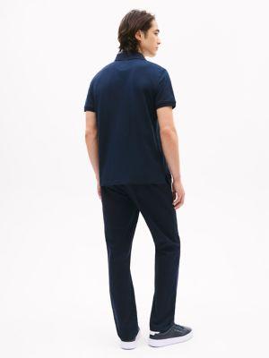 Regular Fit Banner Stripe Polo Product Image