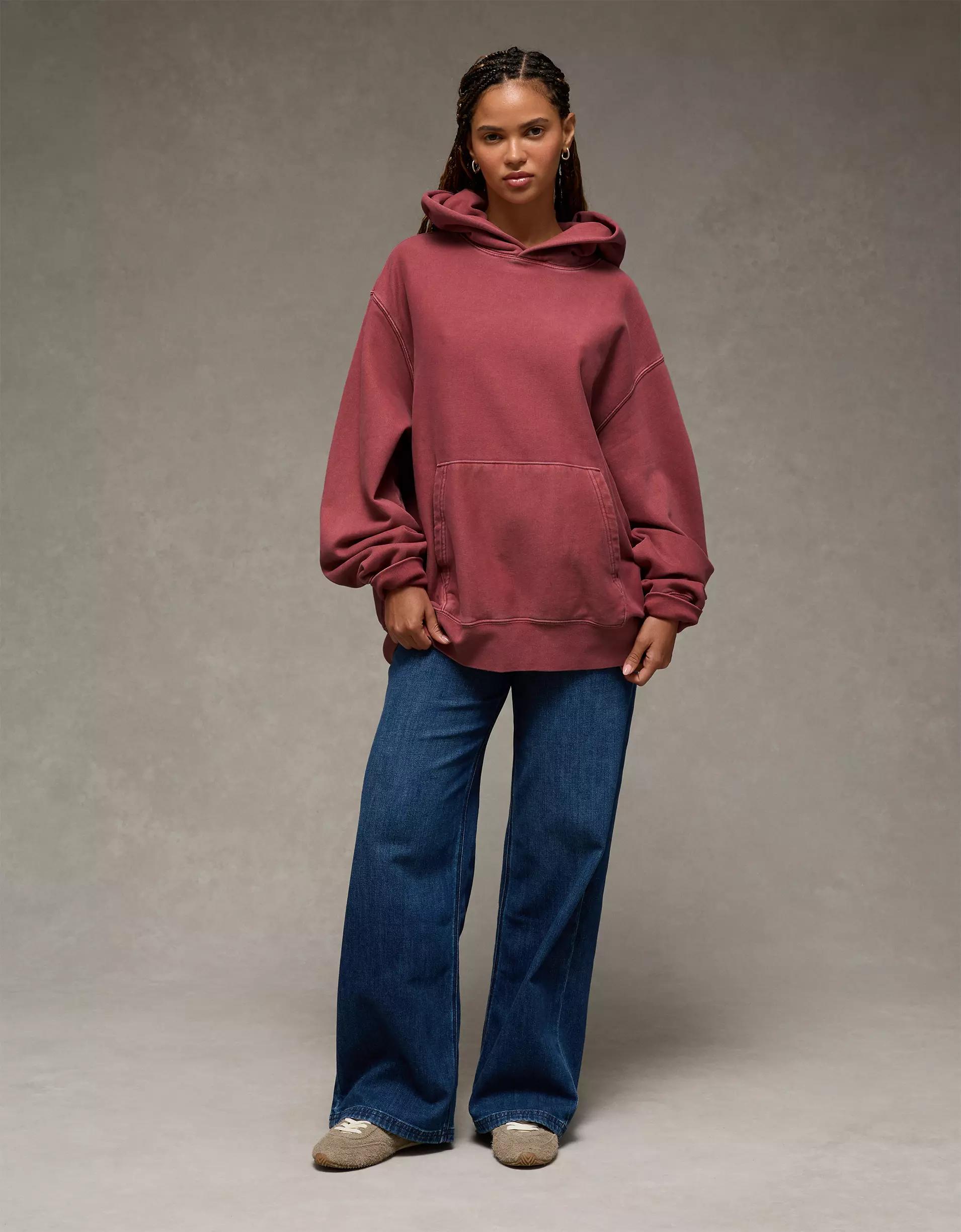 AE Laidback Luxe Heavyweight Hoodie Product Image