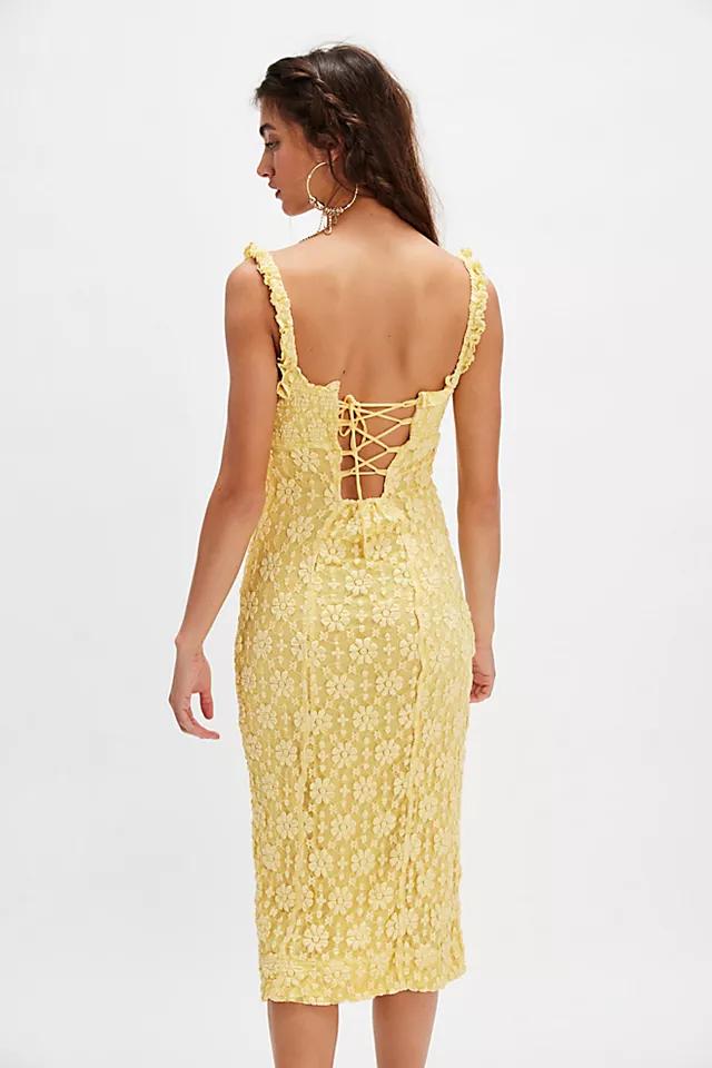 Lucinda Lace Midi Dress Product Image